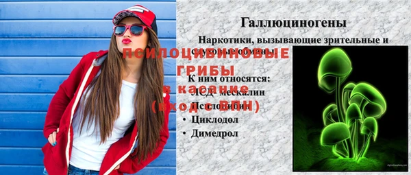соль ск Покровск