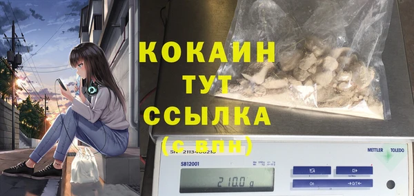 спайс Покачи