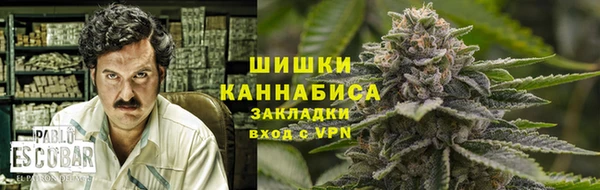 спайс Покачи