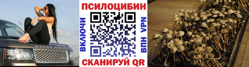 Галлюциногенные грибы GOLDEN TEACHER  Сосновка 